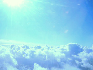 Photo_7